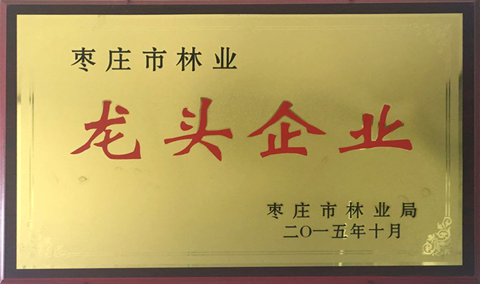 龙头企业